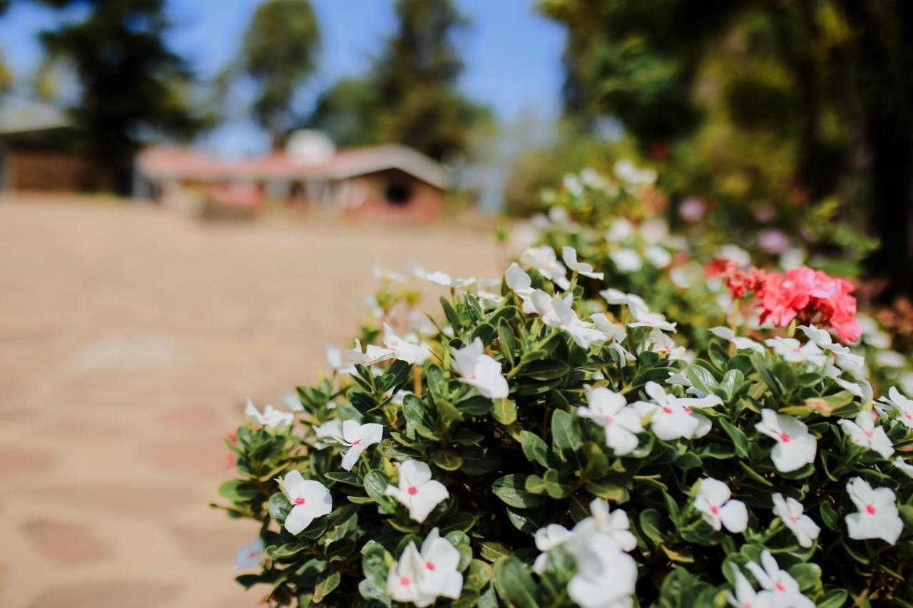 Rancho El Parral Villa San Marcos  Kültér fotó