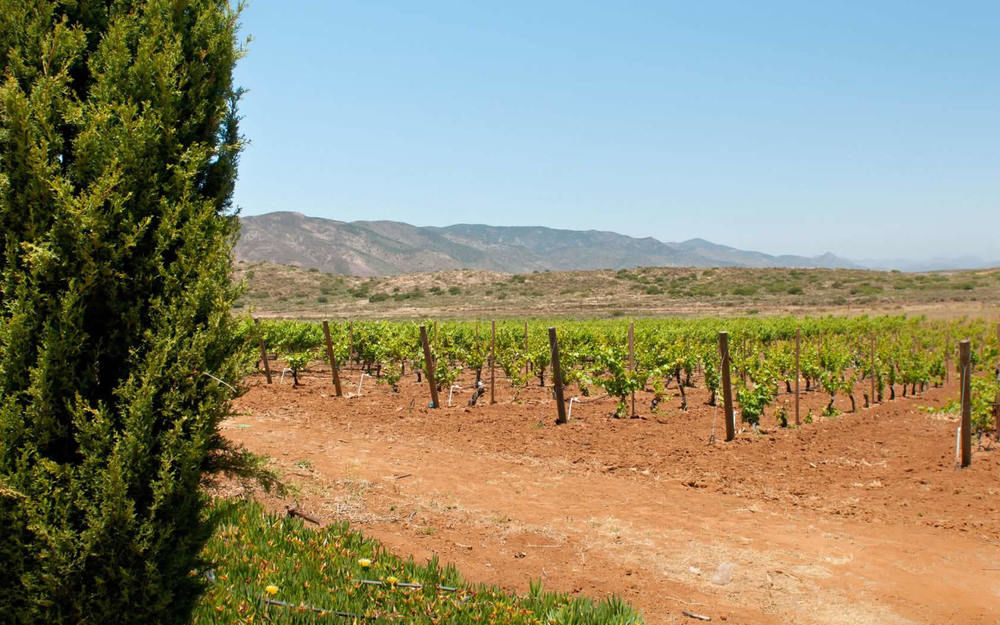 Rancho El Parral Villa San Marcos  Kültér fotó