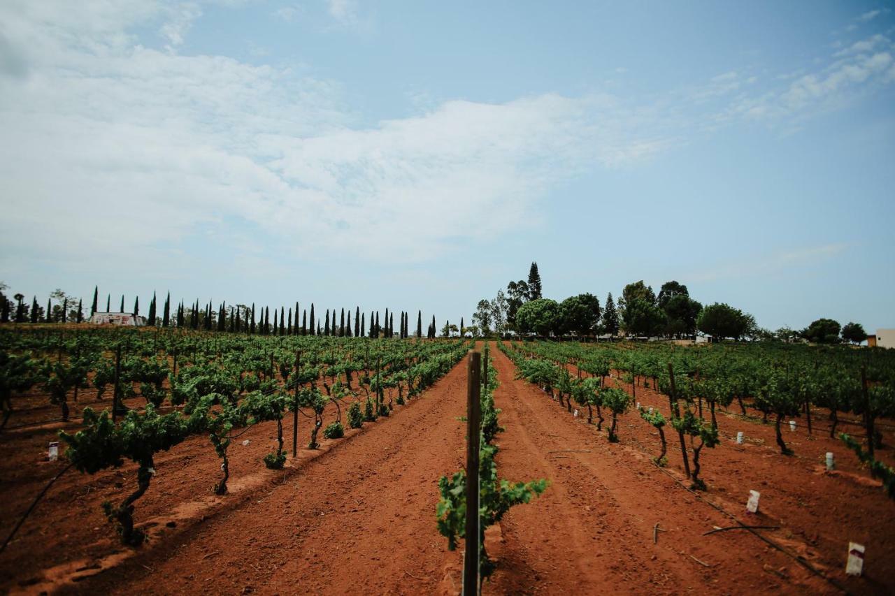 Rancho El Parral Villa San Marcos  Kültér fotó